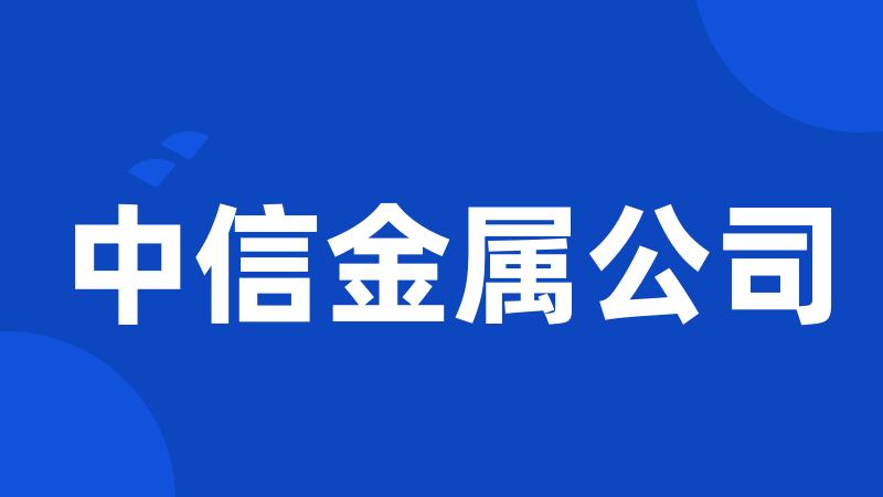 中信金属公司