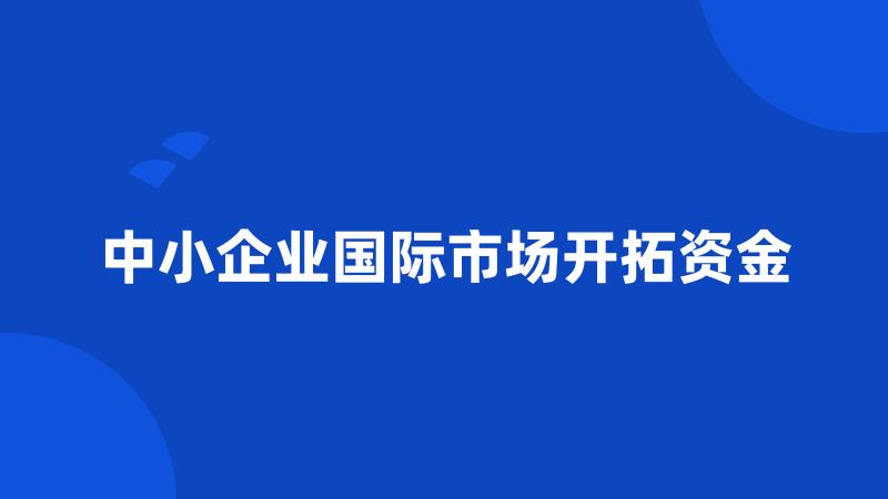 中小企业国际市场开拓资金