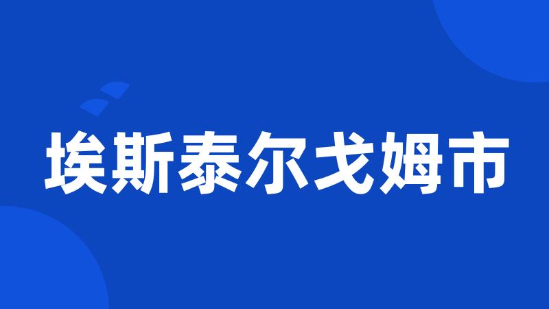 埃斯泰尔戈姆市