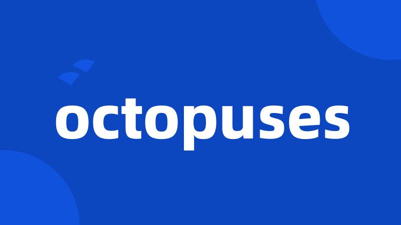 octopuses