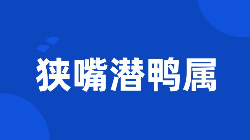 狭嘴潜鸭属