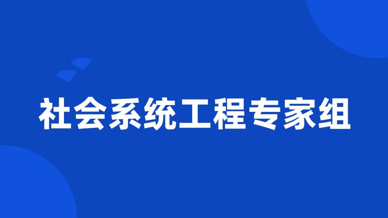 社会系统工程专家组