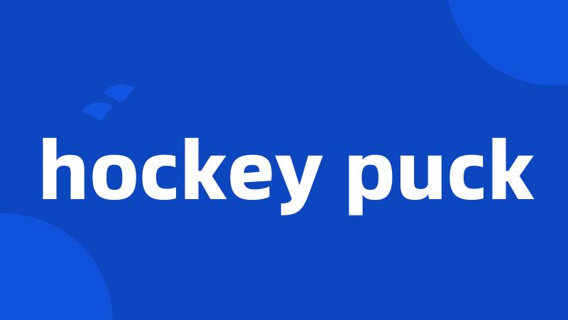 hockey puck