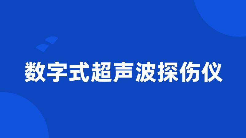 数字式超声波探伤仪