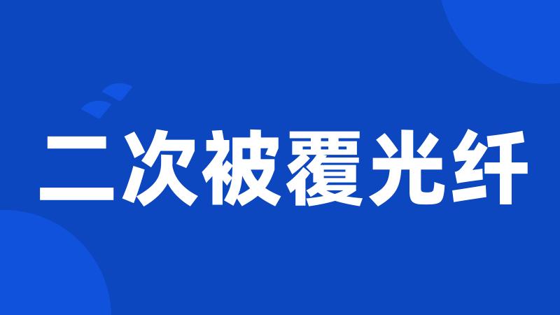 二次被覆光纤