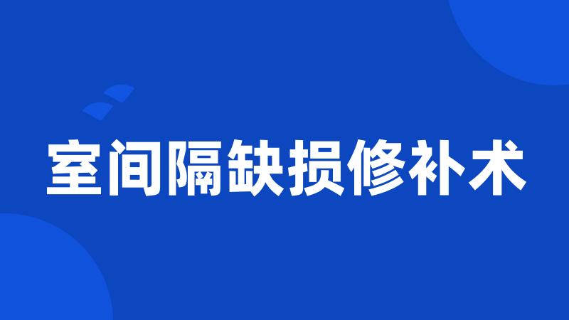 室间隔缺损修补术