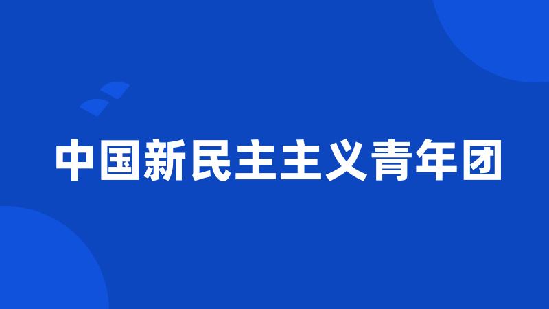 中国新民主主义青年团