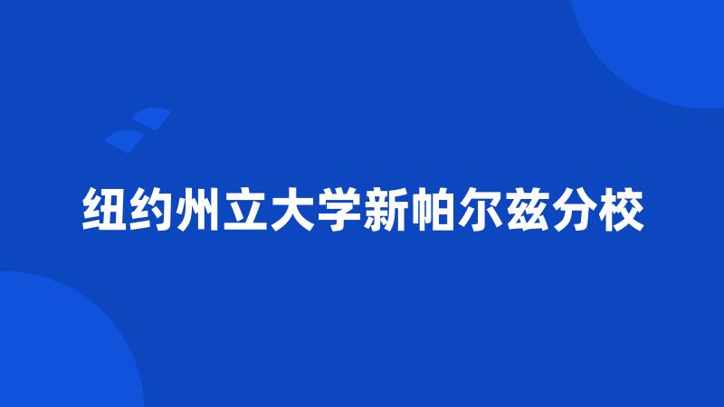 纽约州立大学新帕尔兹分校