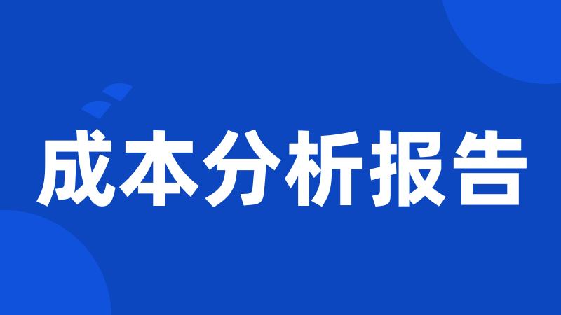 成本分析报告