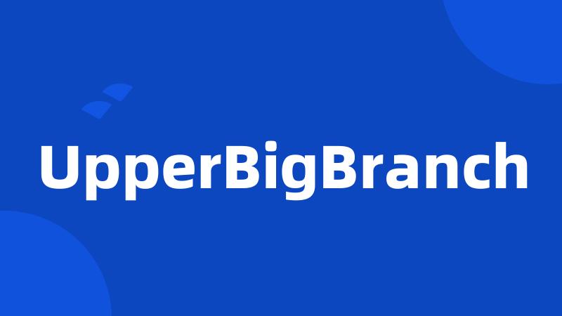 UpperBigBranch