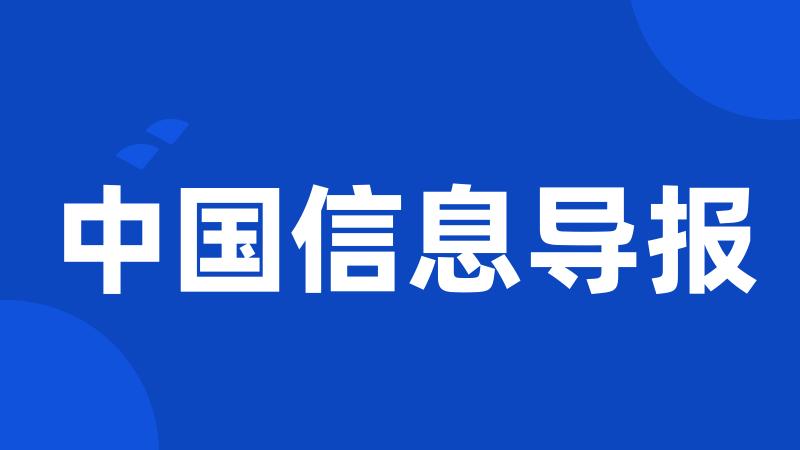 中国信息导报