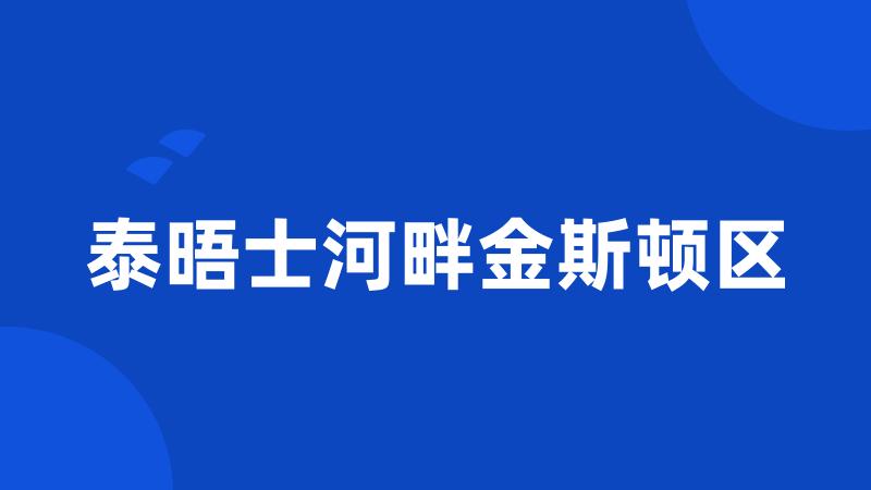 泰晤士河畔金斯顿区