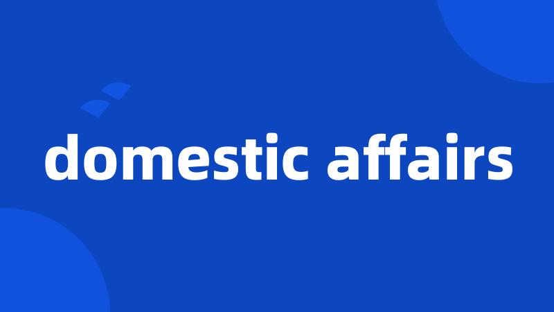 domestic affairs