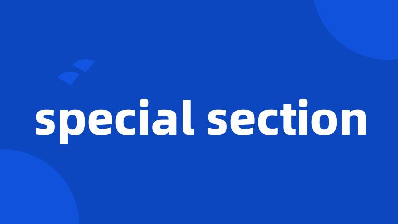 special section