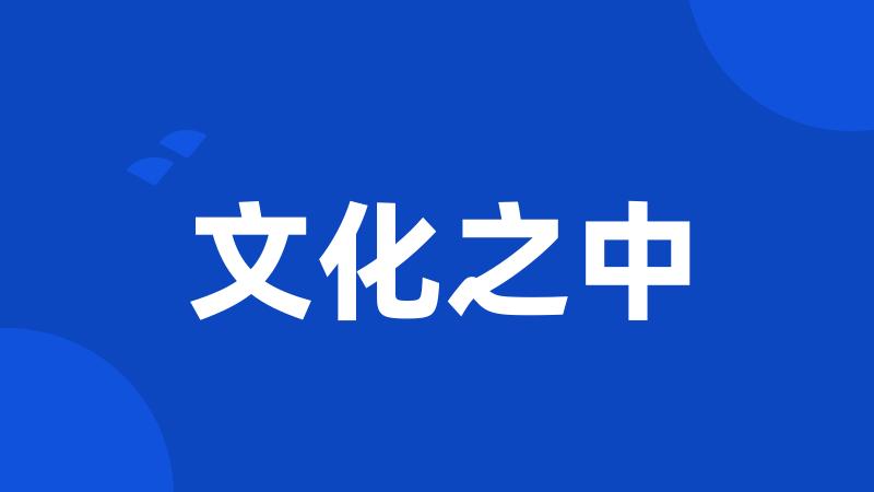 文化之中