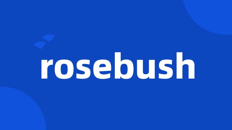 rosebush