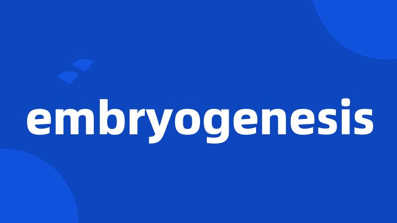 embryogenesis