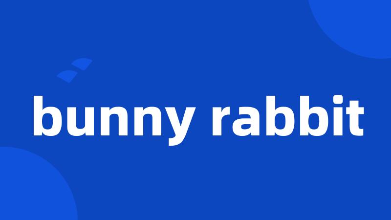 bunny rabbit