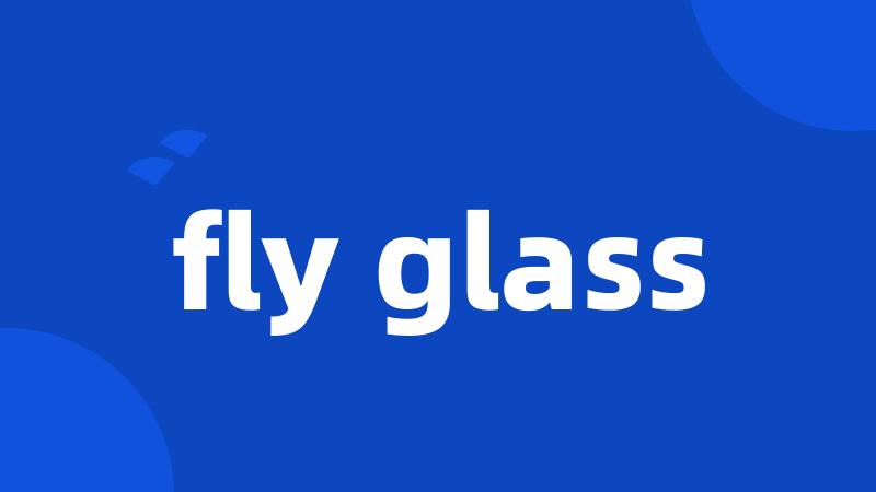 fly glass