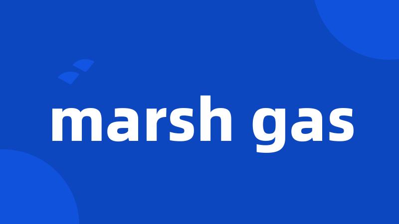 marsh gas