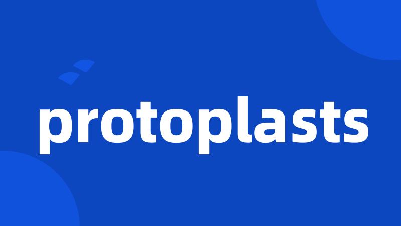 protoplasts