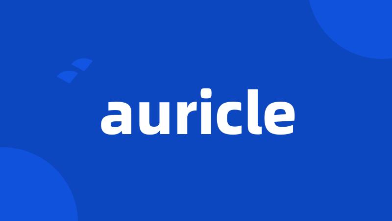 auricle