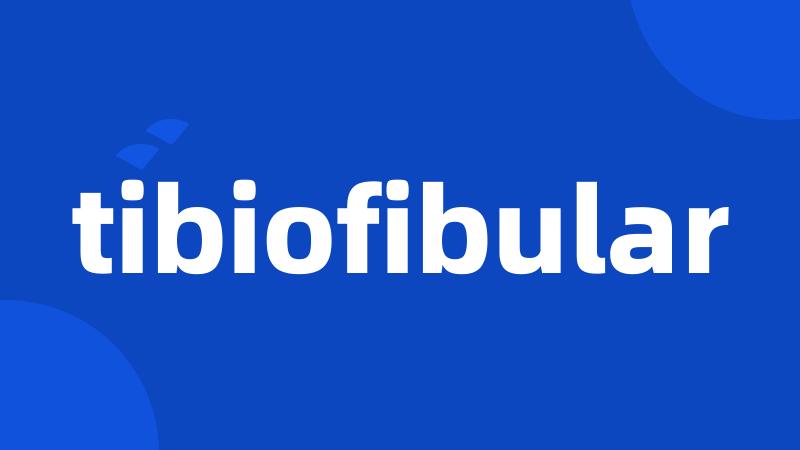 tibiofibular