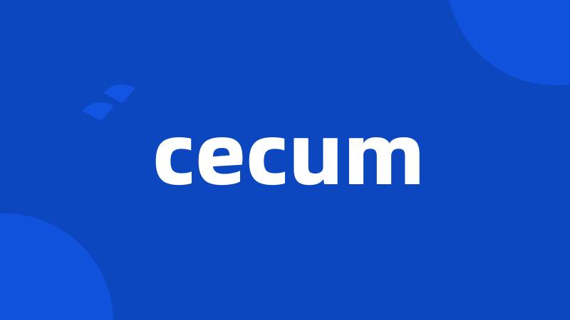 cecum