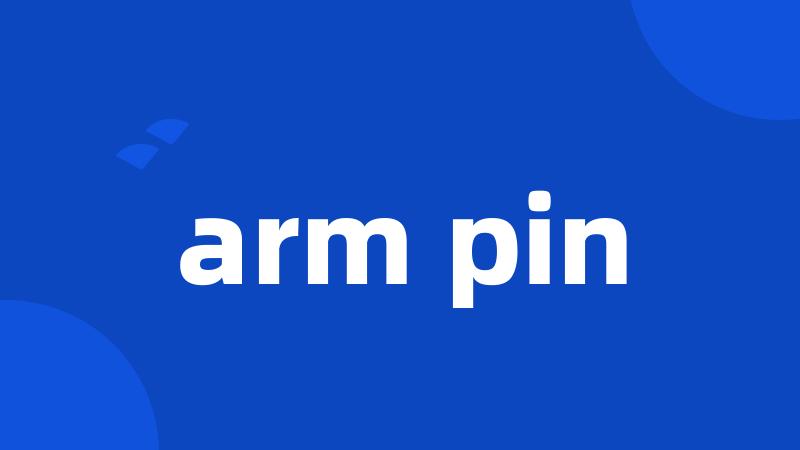 arm pin