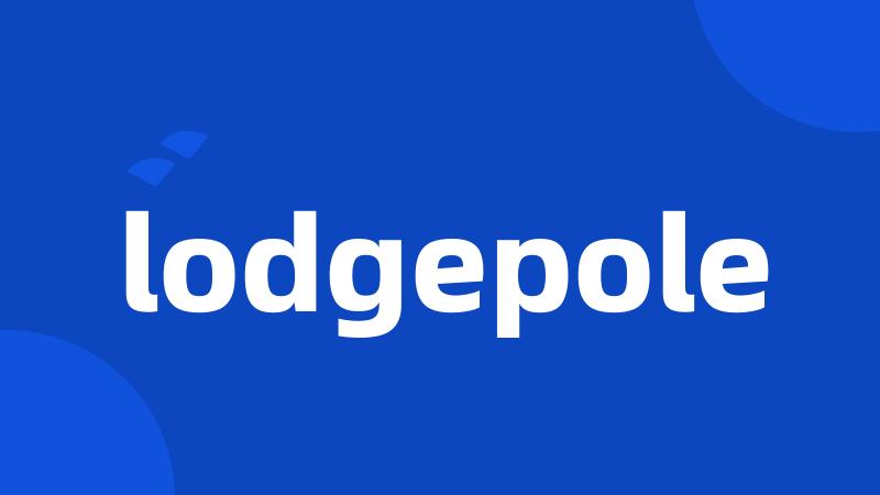 lodgepole