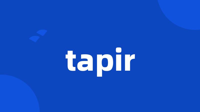 tapir