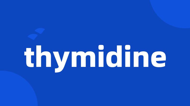 thymidine