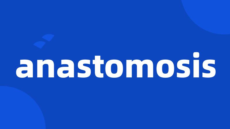 anastomosis