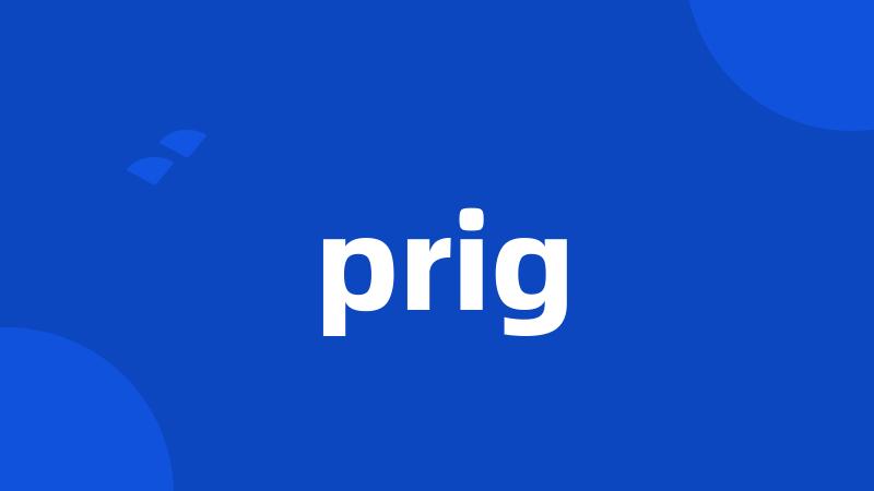 prig