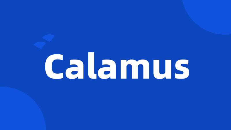 Calamus