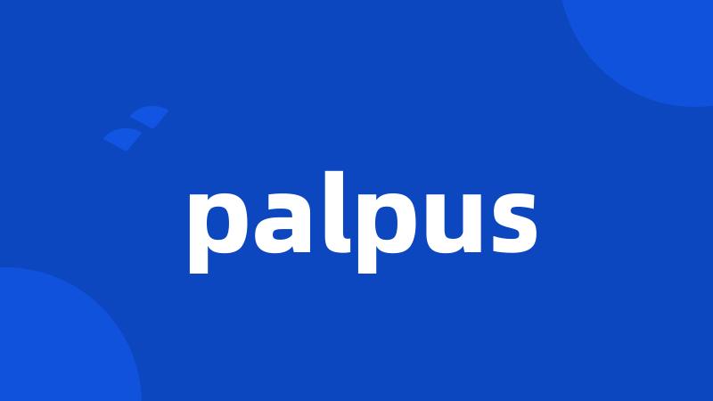 palpus