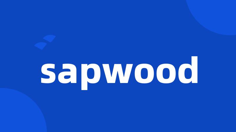 sapwood