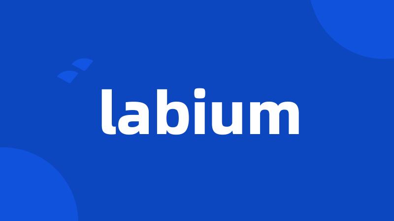 labium