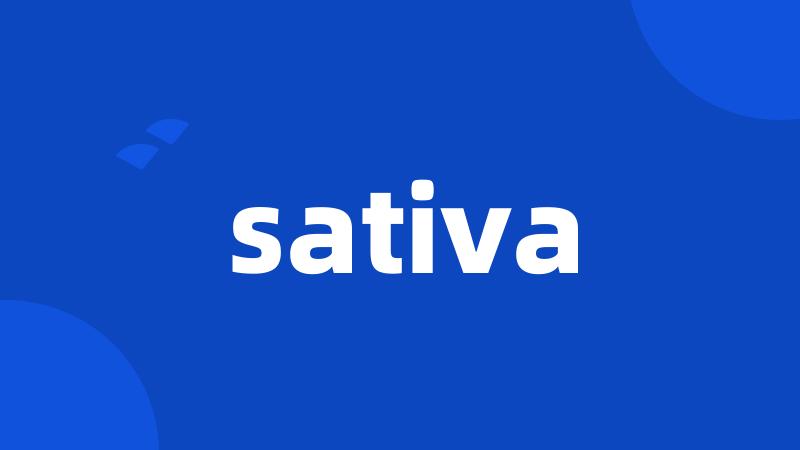 sativa