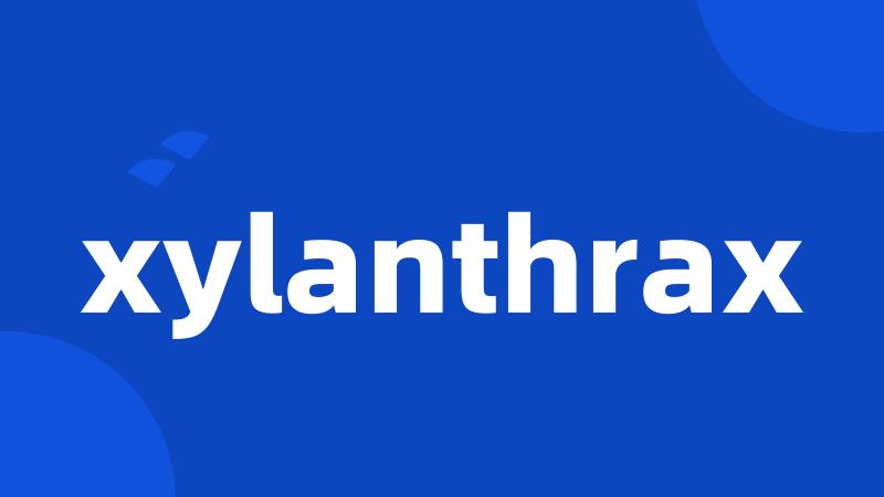 xylanthrax