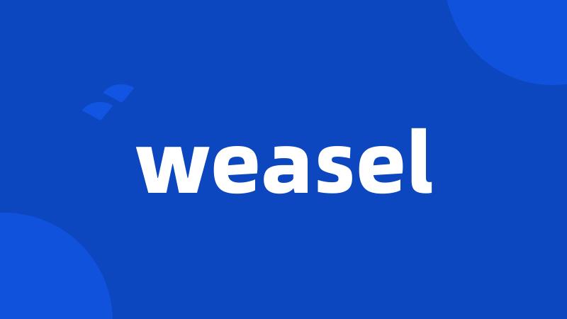 weasel