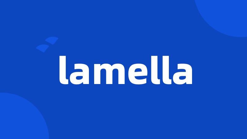 lamella