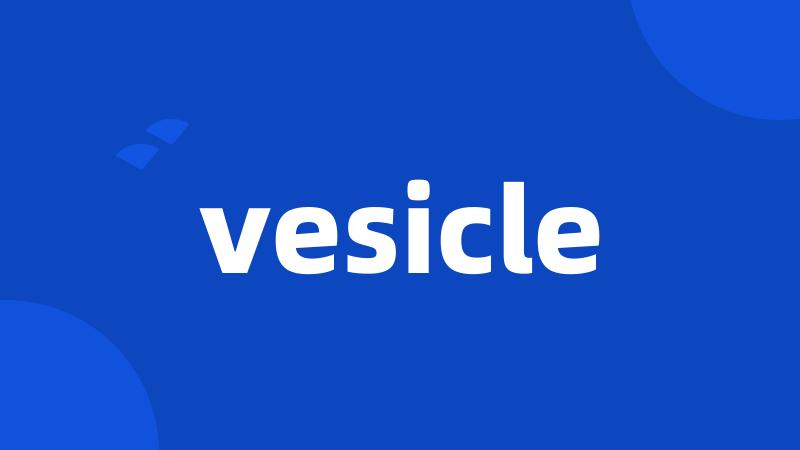 vesicle