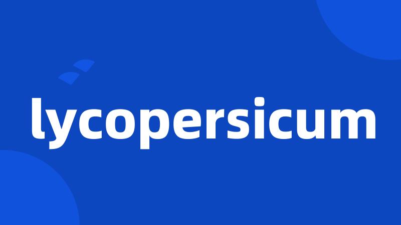 lycopersicum