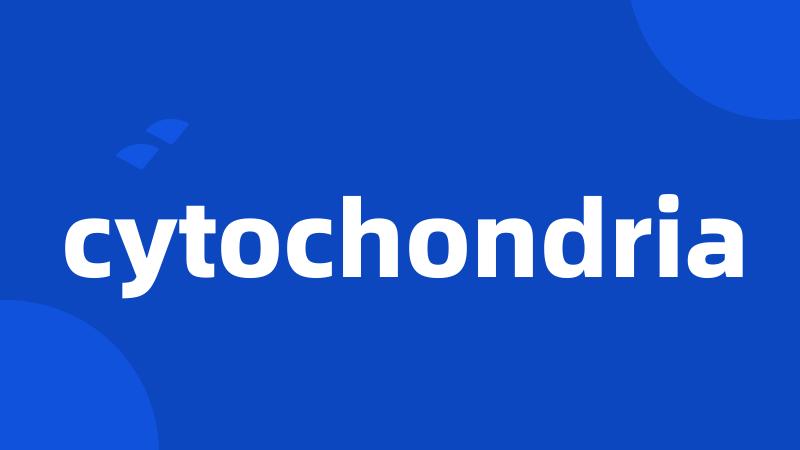 cytochondria