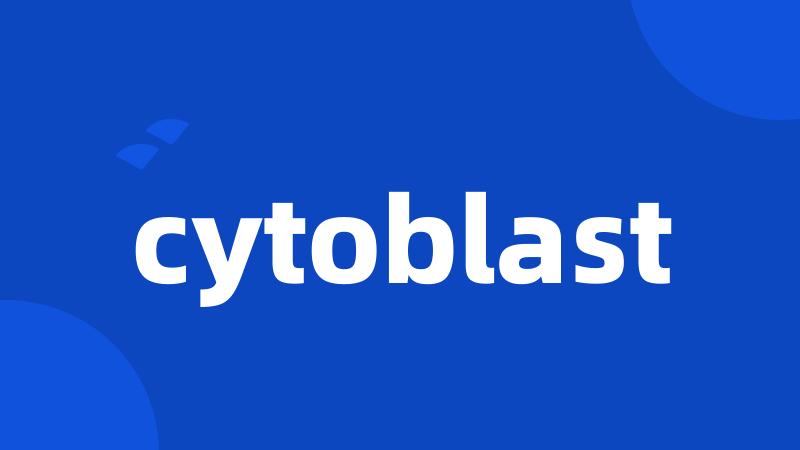 cytoblast