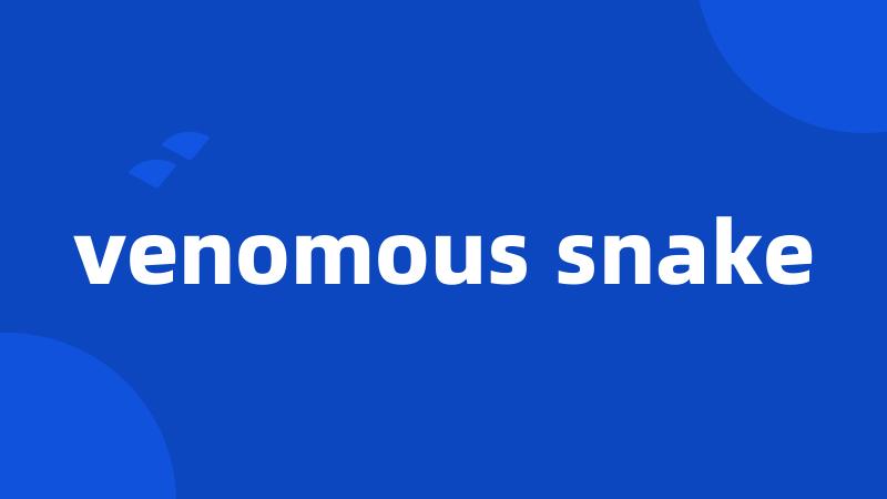 venomous snake