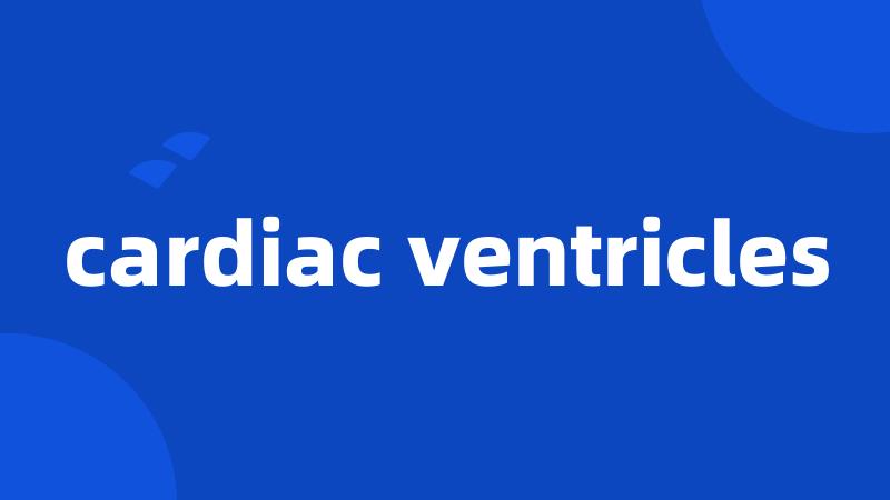 cardiac ventricles