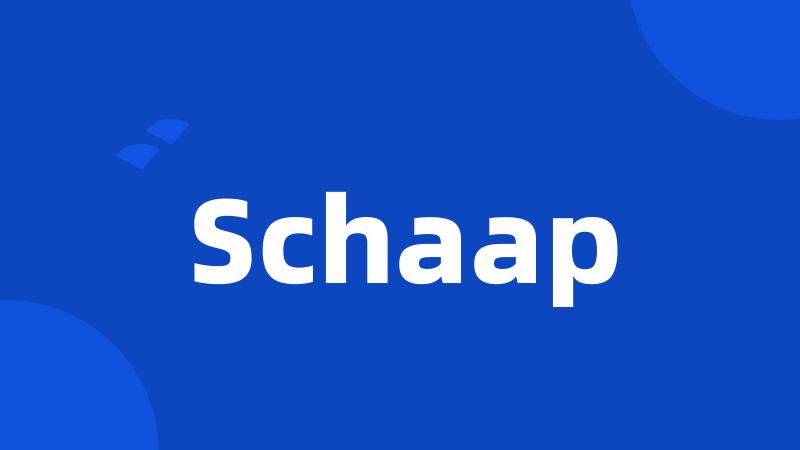 Schaap