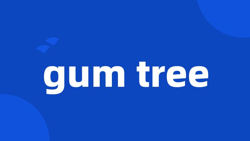 gum tree